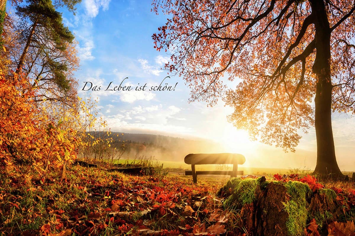 Wandbild Schnappschuss Das Leben
