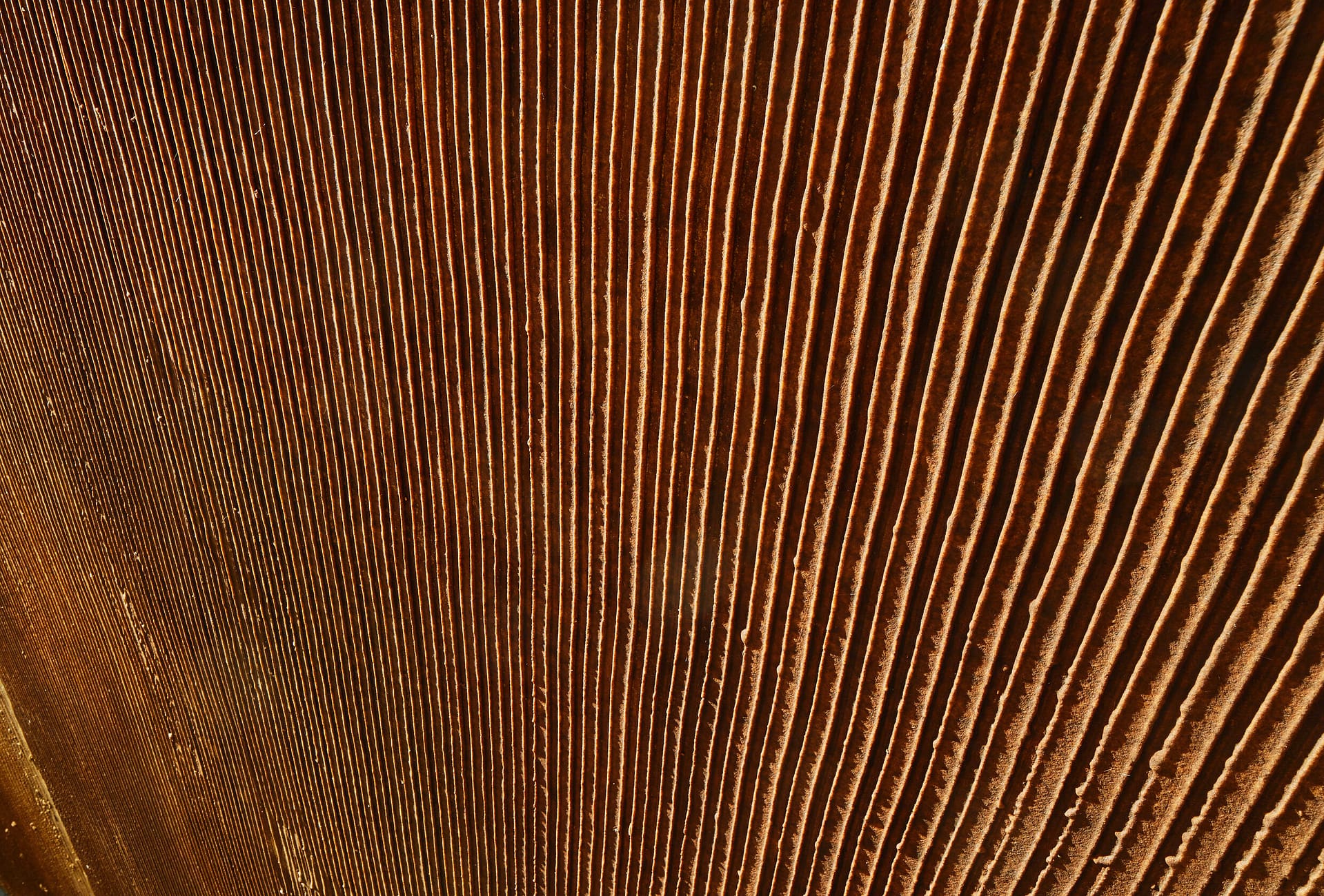JOKA Naturdesigntapete Variano Neo Rolle á 3,00 m²
